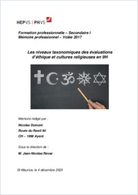 Memoire professionnel_Dumont_Nicolas_2020